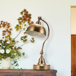 (VL1) Goose Neck Table Lamp